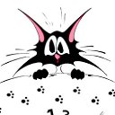 ���� �����, �����, 49 ��� - ��������� 31 ���� 2016 � ������ ���� ����������