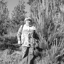 �� �������� �� ����� �� ������� ���� ����������