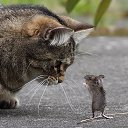  Anatoly, , 52  -  21  2016    