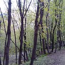 ���� �����, ������, 59 ��� - ��������� 9 ���� 2016 � ������ ���� ����������