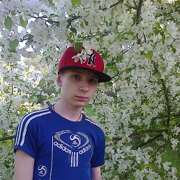 ����, ���������, 24 ����