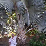 ������, 55 ���, �����-���������