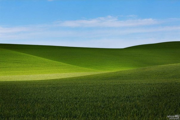     Windows XP.    !