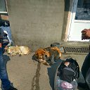 ���� �������, �����������, 34 ���� - ��������� 12 ��� 2016 � ������ ������ ��������