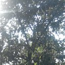 ���� Lena, ����, 39 ��� - ��������� 3 �������� 2016 � ������ ���� ����������