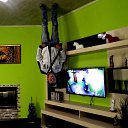 ���� ���������, ������, 40 ��� - ��������� 9 ���� 2016 � ������ ���� ����������