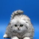  ,  -  11  2016    Ȼ