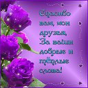  ,  , 65  -  11  2016    