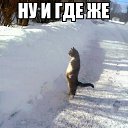 ���� ����, �����-��������� - ��������� 14 ���� 2016 � ������ �������