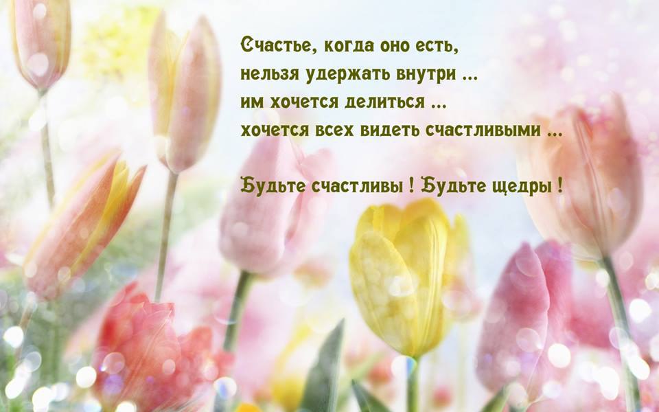   - 17  2016  16:03