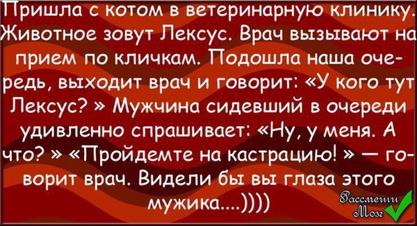  - 11  2016  07:03