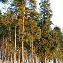 ���� �����, �������, 63 ���� - ��������� 6 ����� 2017 � ������ ���� ����������