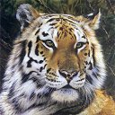 ���� ���������, ������, 67 ��� - ��������� 23 ������� 2016 � ������ ���� ����������