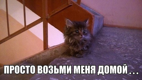 ! - 20  2016  23:09