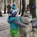 ���� �������, ������, 67 ��� - ��������� 21 ����� 2017 � ������ ���� ������� ����