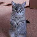 ���� Aleksandr, ������� - ��������� 17 �������� 2016 � ������ ���� ����������