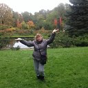  , , 60  -  18  2016   )))