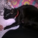 ���� �������, ��������� - ��������� 26 ������� 2016 � ������ ������ ��������