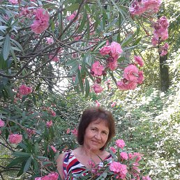 ���������, �����������, 69 ���