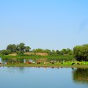 ���� ���������, ��������, 38 ��� - ��������� 26 ������� 2016 � ������ ���� ����������