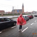  , , 82  -  27  2016   2013   , .   