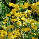 22.05.2016 �� ������� �������� ������������ ���.�