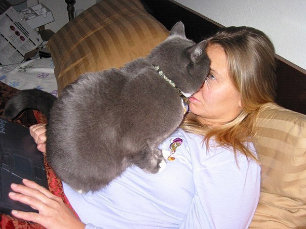         =^.^= - 9