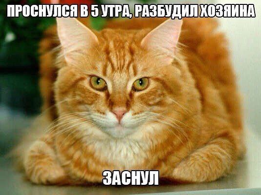 Comedy Club - 8  2017  22:29