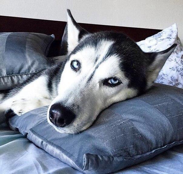      ?