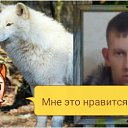���� �����, ������, 35 ��� - ��������� 8 ������� 2016