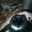 ���� Lena, ����, 39 ��� - ��������� 15 ������� 2016 � ������ ���� ����������