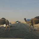 ���� Alex, ������, 65 ��� - ��������� 9 ������� 2016 � ������ �������