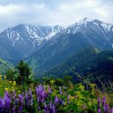  Elena,  , 60  -  27  2017    Ļ