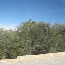 ���� Iga, ������� - ��������� 25 �������� 2016 � ������ ����������