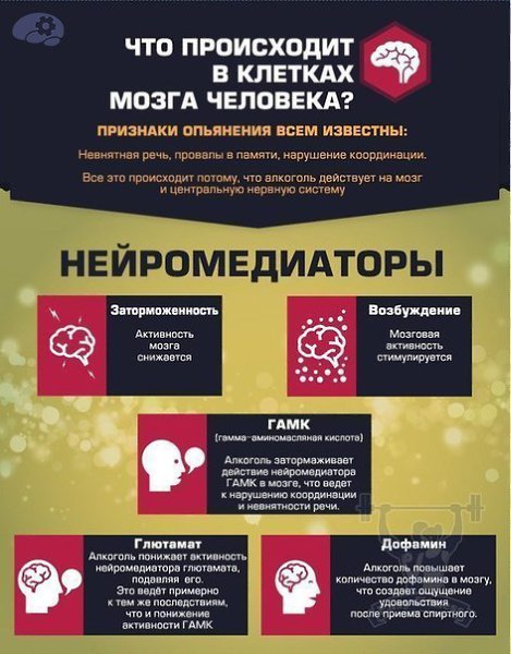 Про вред алкоголя. Пьяный, в гавно, бухой — как это ни назови, а все пьющие люди проходят через один ... - 2