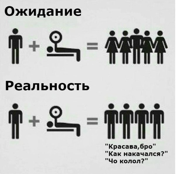 SportFeed - 19  2017  06:19