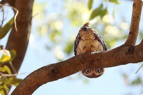 — Что делать, если все надоело? — Взглянуть на мир иначе.