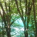  ,  -  11  2017   Plitvicka jezera -   - 