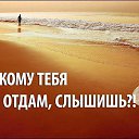 ���� �����, �����-��������� - ��������� 29 ������ 2017 � ������ ������ ��������