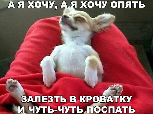    :D - 9  2016  03:02