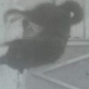 ���� �������, ����������� - ��������� 23 ������� 2017 � ������ ������� ��.�