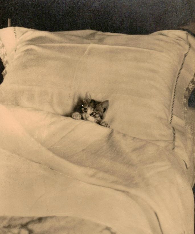   , 1900-.
