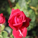 ���� �������, ����������� - ��������� 20 ������� 2016 � ������ ������ ��������