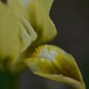  , --, 44  -  20  2016    - 2015