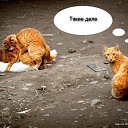 ���� @@@ ����, ������, 55 ��� - ��������� 4 ������ 2016 � ������ ������ ��������