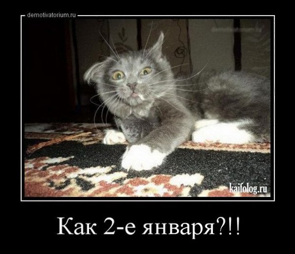    ,         . - 18