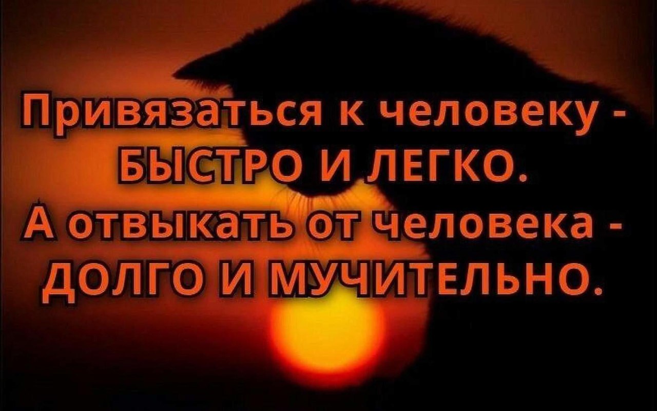 .https://fotostrana.ru/away?to=/sl/kxC2 - 12  2016  17:53