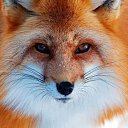 ���� ���� �������, ������, 70 ��� - ��������� 12 ����� 2017 � ������ ���� ����������