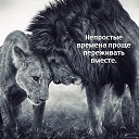 ���� �������, ����� - ��������� 16 ������� 2017 � ������ ������ ��������