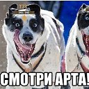 ���� �����, ����� - ��������� 19 �������� 2016 � ������ ������ ��������